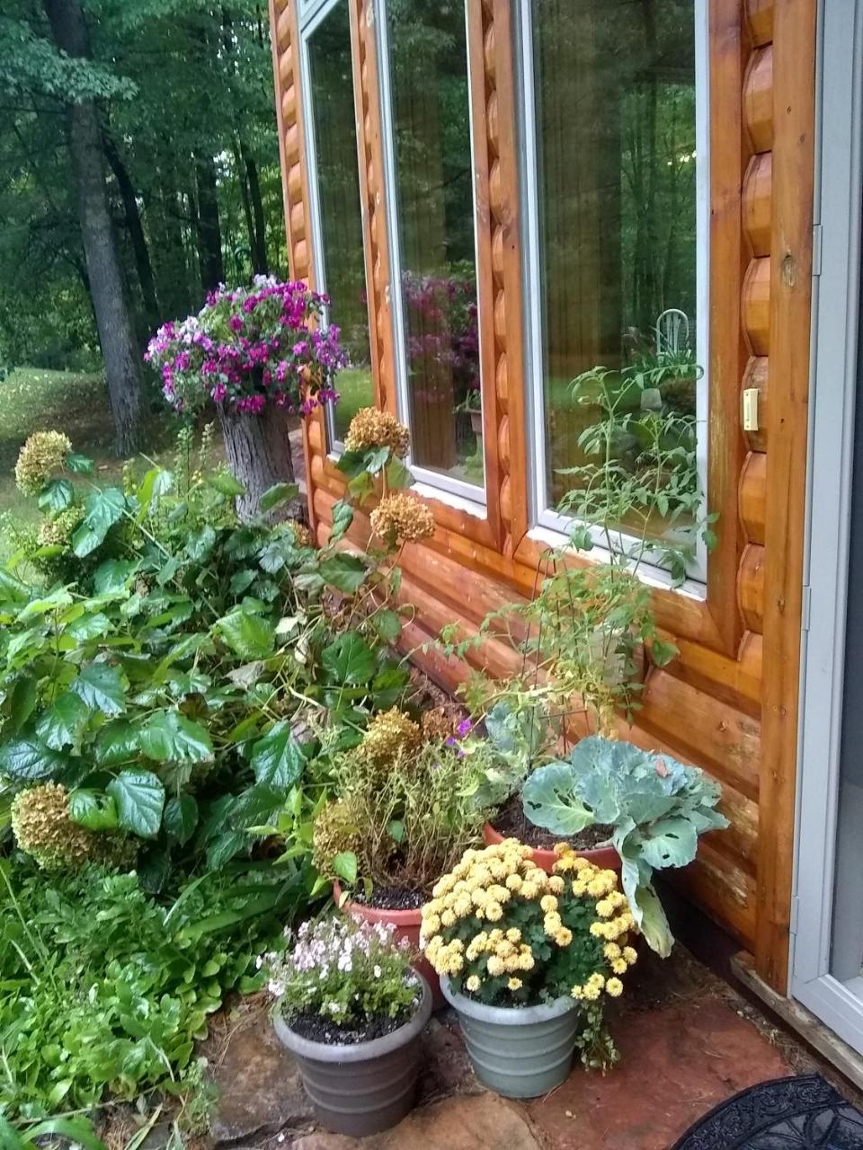 Bed And Breakfast Suite At The Wooded Retreat Pine City エクステリア 写真